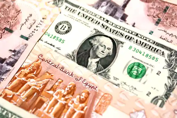 سعر الدولار اليوم