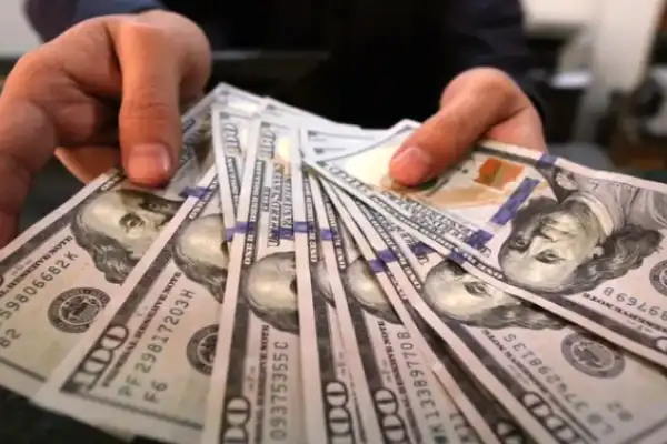 سعر الدولار مقابل الجنيه